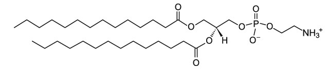 DMPE-艾偉拓（上海）醫藥科技有限公司